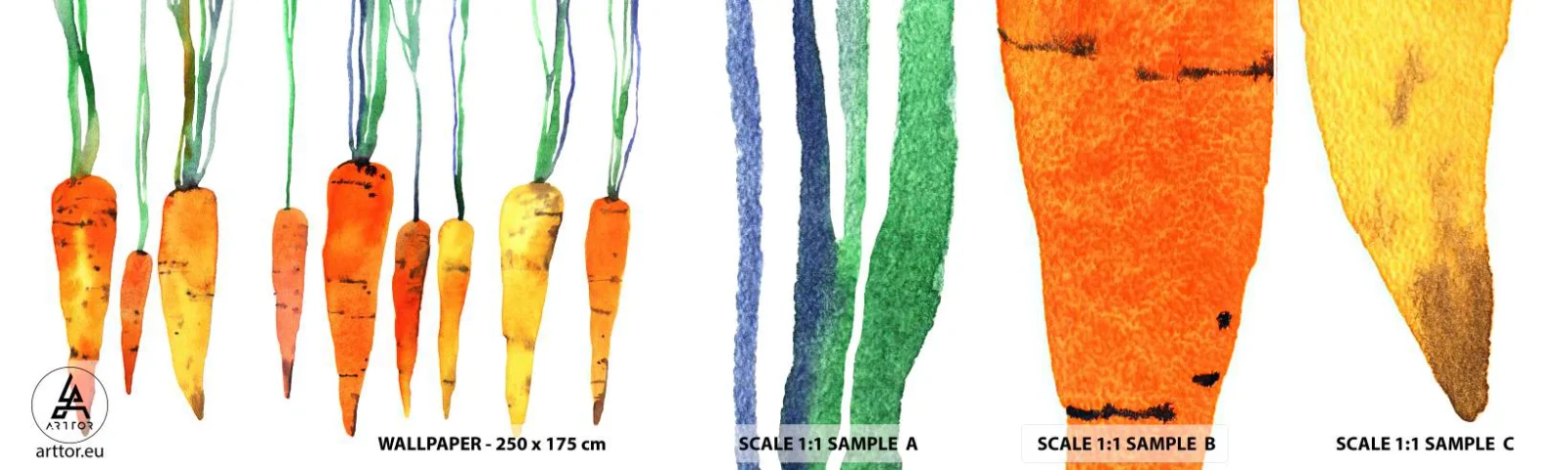 Fototapet Prov Standard Eco - Skönhet av det vanliga - Gastronomi, Morot, Grafik - 100x30 cm