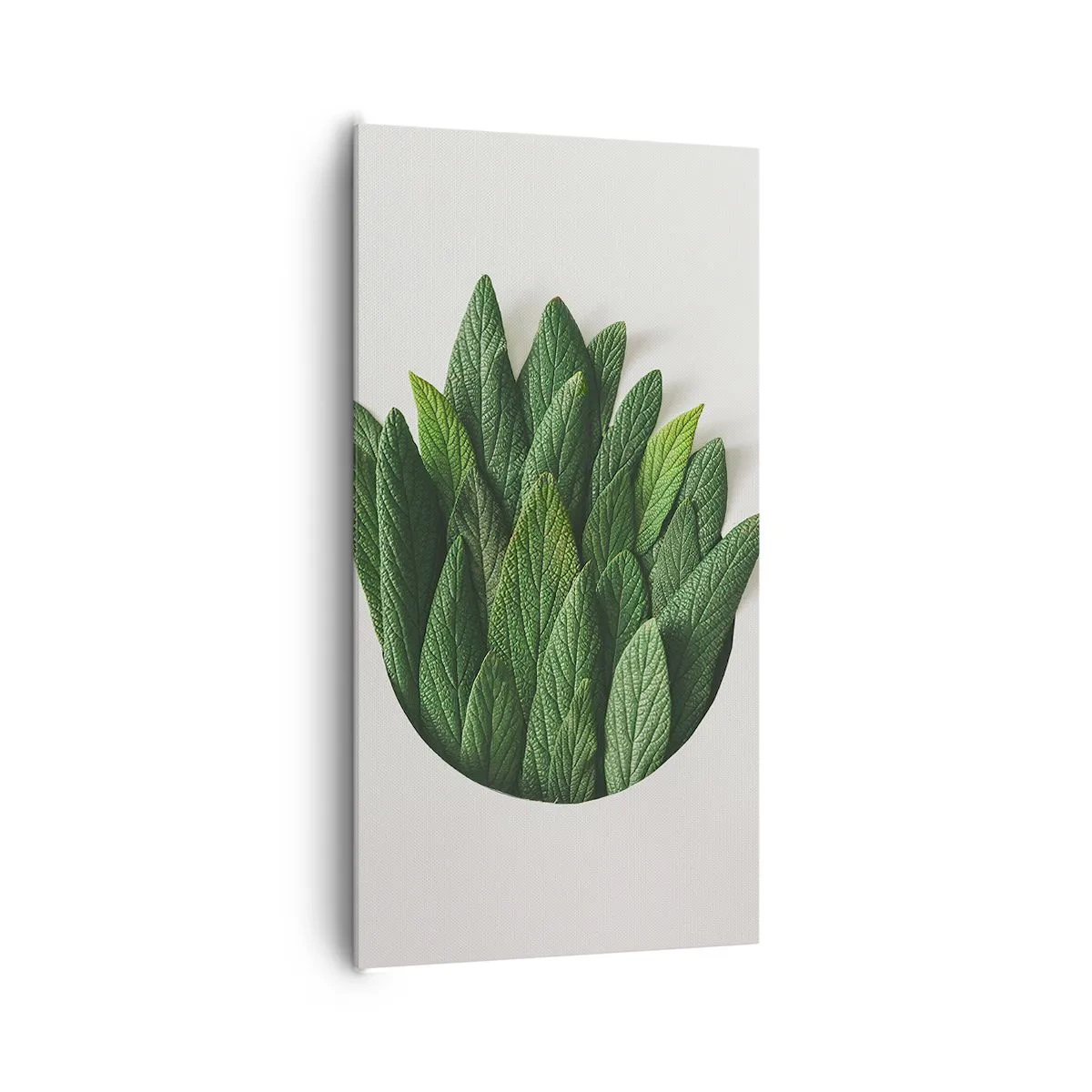 Canvastavla - Bild på duk - Ostoppbar nyfikenhet - 65x120 cm