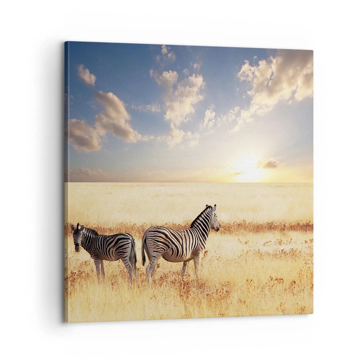 Canvastavla - Bild på duk - Gå härifrån, stör inte lugnet - 60x60 cm