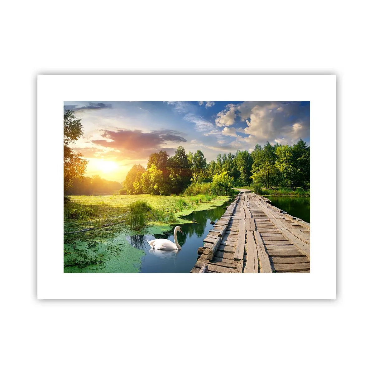 Affisch - Sommar, sommar överallt - 40x30 cm