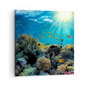 Canvastavla - Bild på duk - Undervatenskatter - 50x50 cm