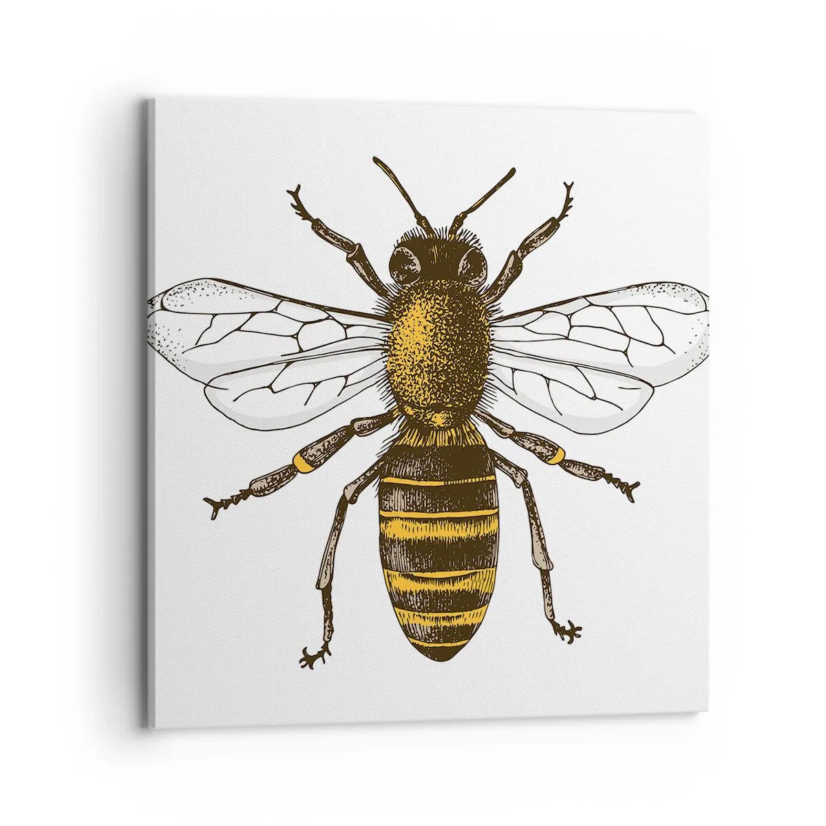 Canvastavla - Bild på duk - Vackert och bra - 70x70 cm