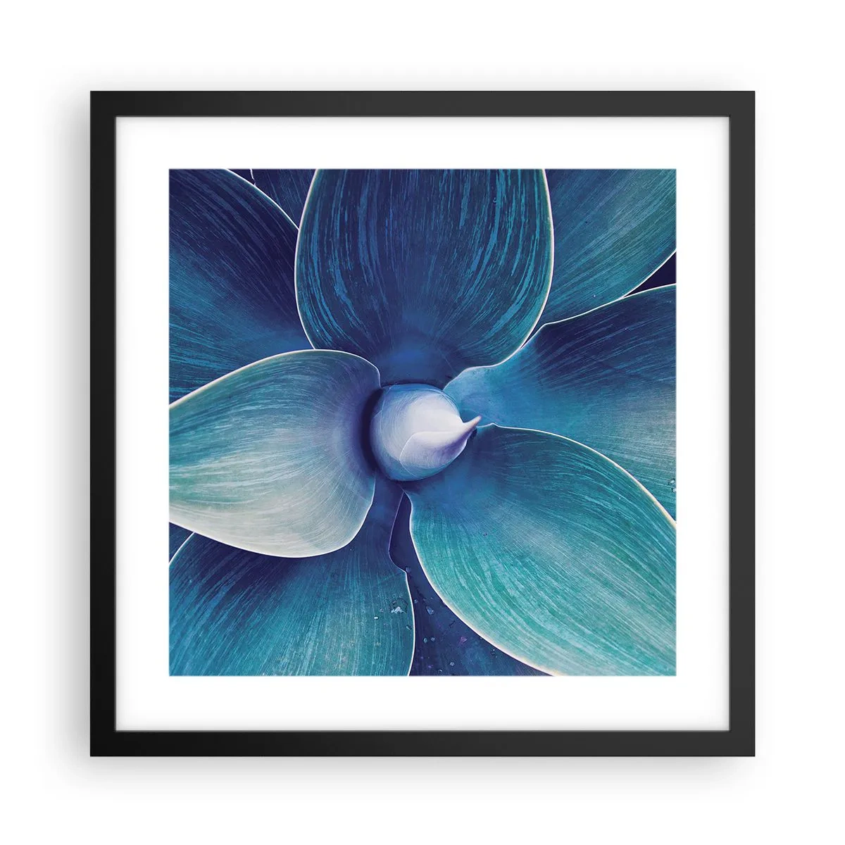 Affisch i svart ram - Blått från himlen - 40x40 cm