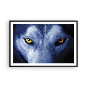 Affisch i svart ram - Hypnotiserade titt - 91x61 cm