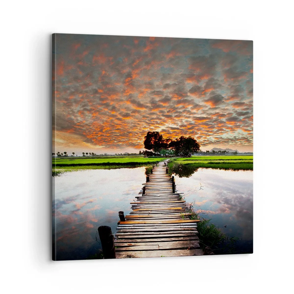 Canvastavla - Bild på duk - Fäll ut armarna - andas  - 60x60 cm