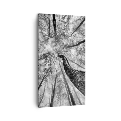 Canvastavla - Bild på duk - Kapplöpning mot ljuset - 45x80 cm