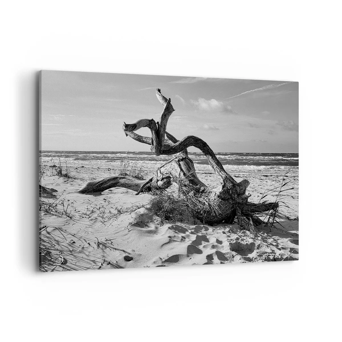 Canvastavla - Bild på duk - Havets skulptur - 120x80 cm
