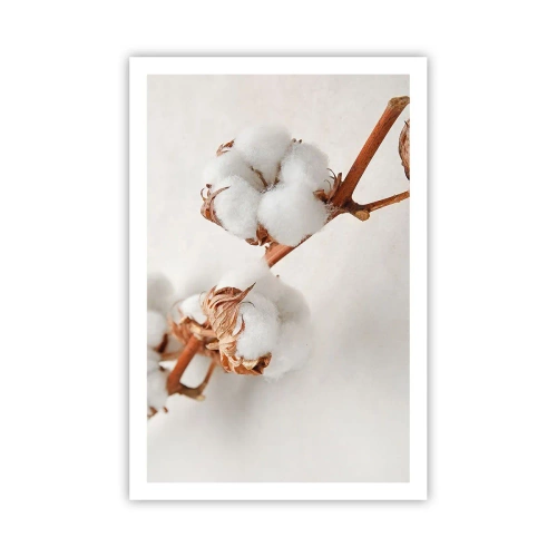 Affisch - Krama om - 61x91 cm