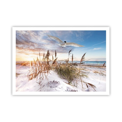 Affisch - Vind från havet - 100x70 cm