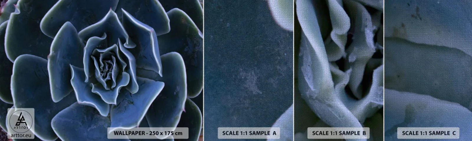 Provbit av fototapet Premium Canvas - Öknens blomma - Agave blomma, Blomma, Natur - 100x30 cm