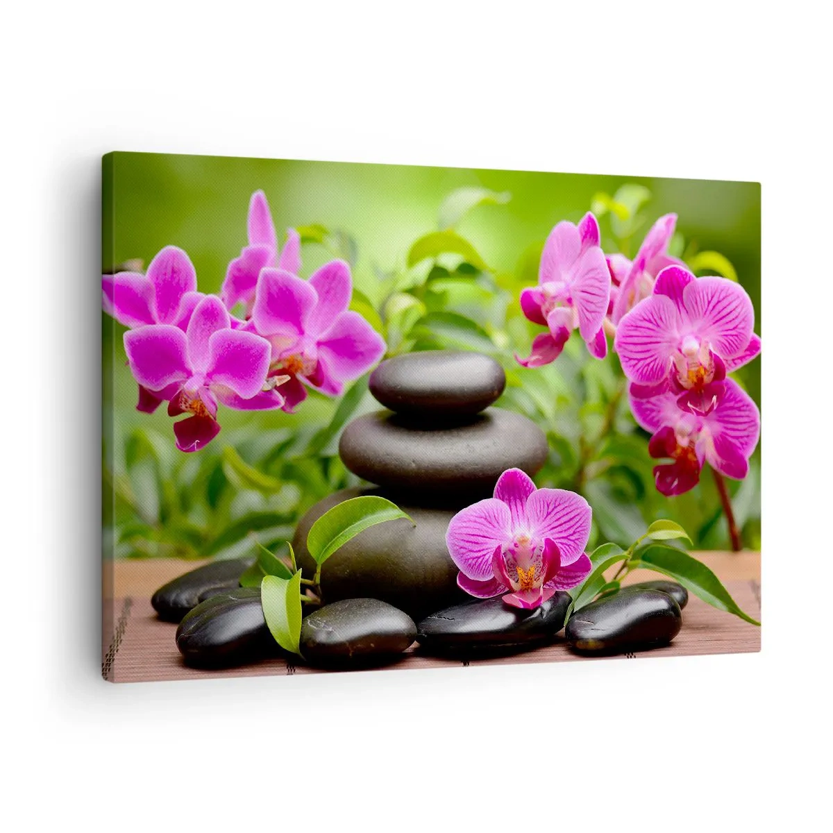 Canvastavla - Bild på duk - Rosa orkidéer med stenar på en grön bakgrund - 70x50cm - Lugnets pyramid - Modern väggdekoration för vardagsrum och sovrum ARTTOR