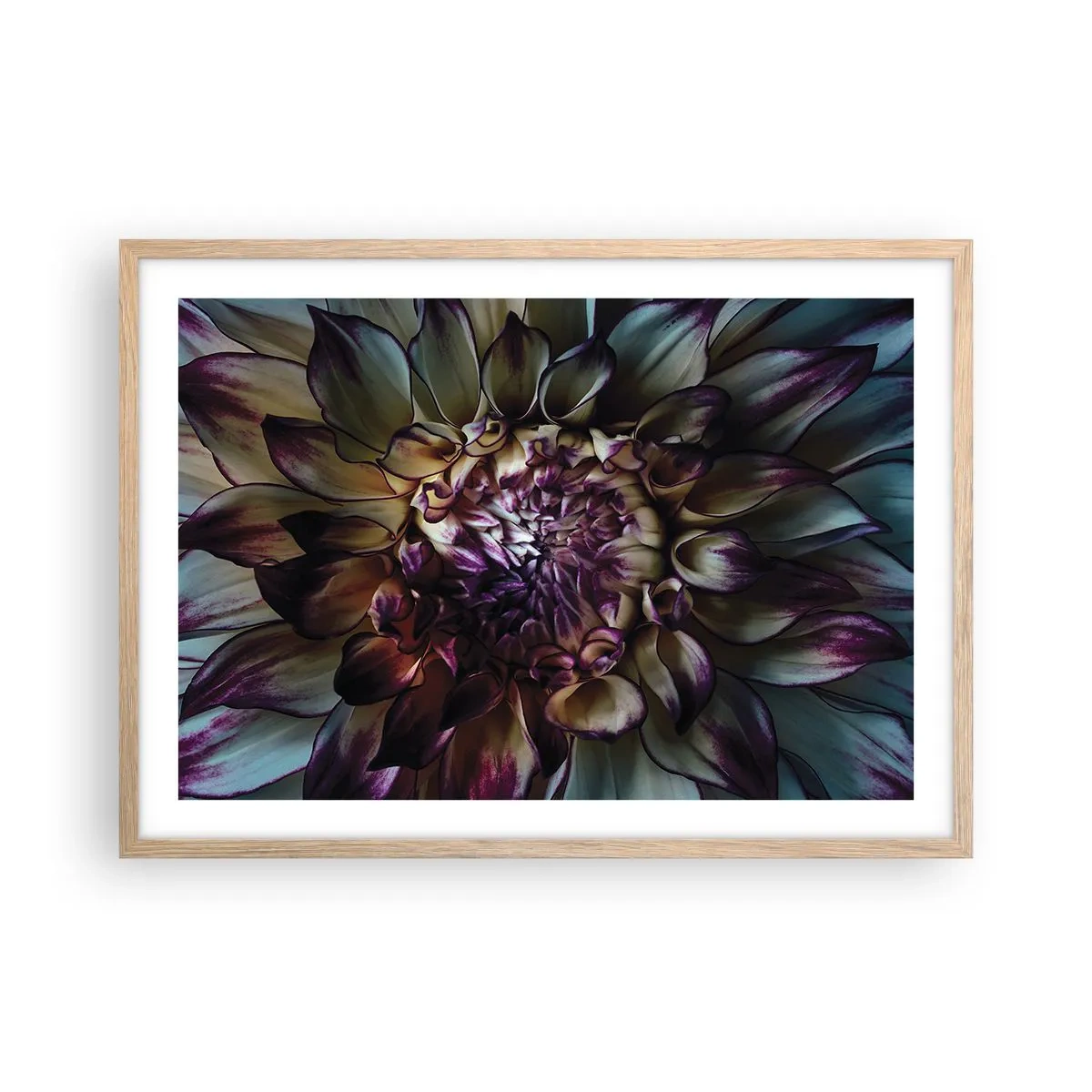 Affisch i ram av ljusek - Blommande ungdom - 70x50 cm
