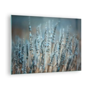 Glastavla - Bild på glas - Ett lavendelfält i mjukt, svalt ljus - 70x50cm - Doftande åkermark - Modern väggdekoration för vardagsrum och sovrum ARTTOR