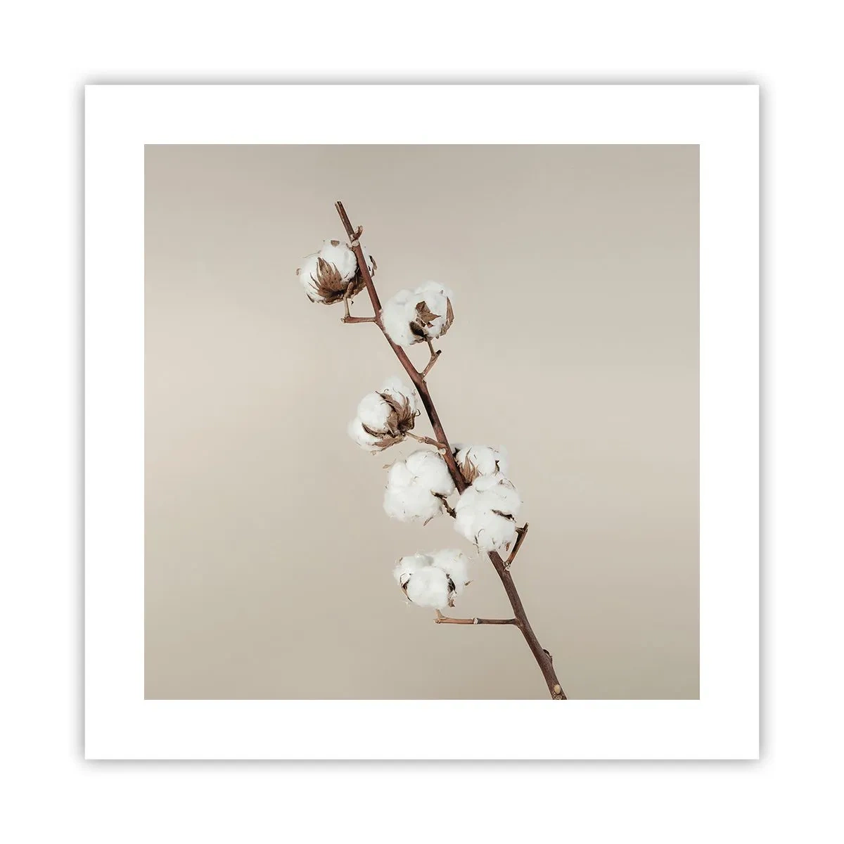 Affisch - Hos mjukhetens källa - 40x40 cm