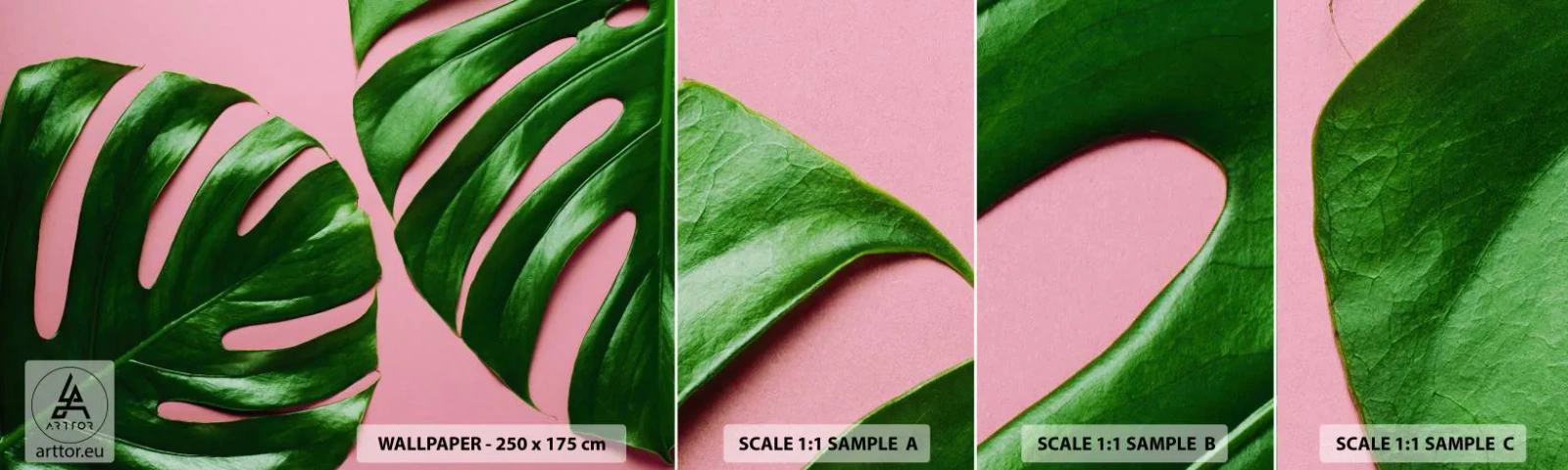 Provbit av självhäftande fototapet Deluxe Sticker - Grön rendez-vous - Monstera, Grönt löv, Exotisk planta - 100x30 cm