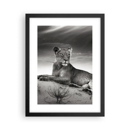 Affisch i svart ram - Öknens drottnings vila - 30x40 cm