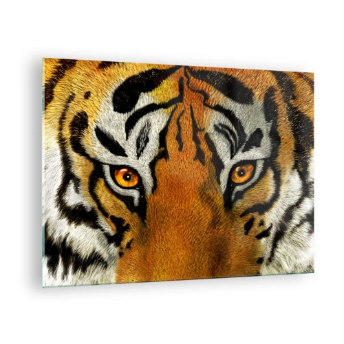 Glastavla - Bild på glas - Närbild av tigerns intensiva blick - 70x50cm - Farlig och vacker - Modern väggdekoration för vardagsrum och sovrum ARTTOR