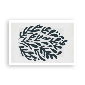 Affisch - Naturens former - 91x61 cm