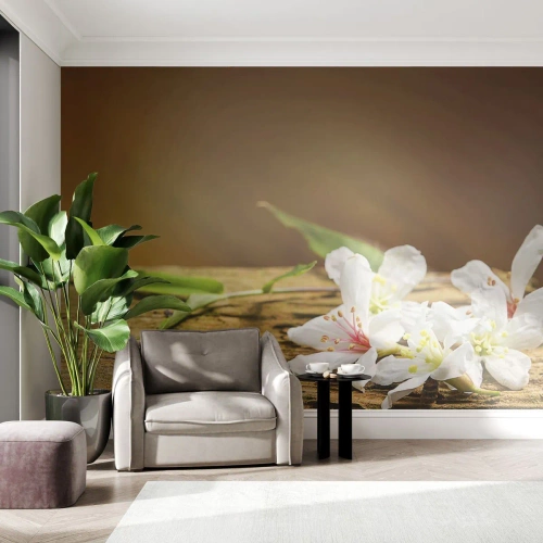 Självhäftande Fototapet Deluxe Sticker - Oskyldigt löfte - Blommor, Bambu, Spa - 250x175 cm