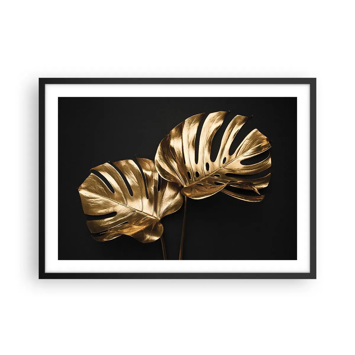 Affisch i svart ram - Naturens skatter - 70x50 cm