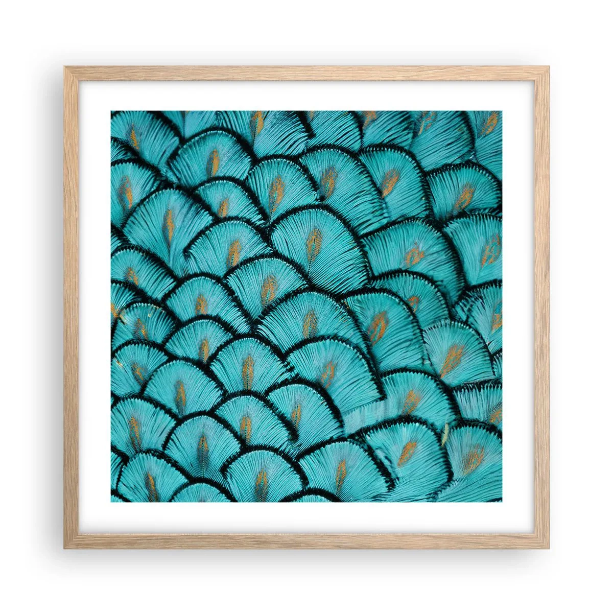 Affisch i ram av ljusek - Den stora fjädergalan - 50x50 cm