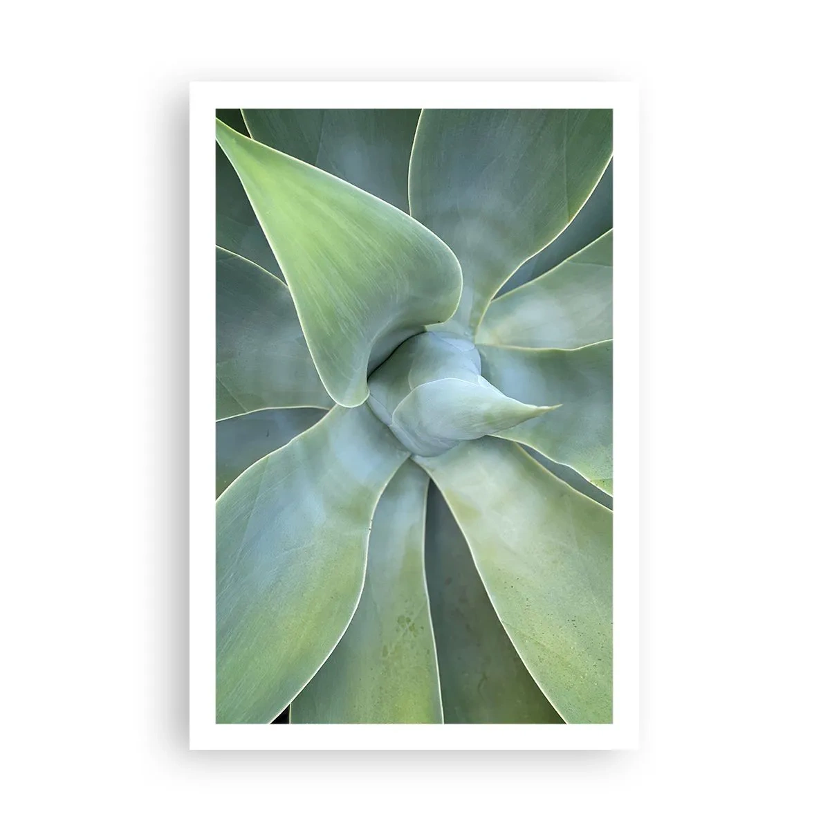 Affisch - Det gröna föds - 61x91 cm