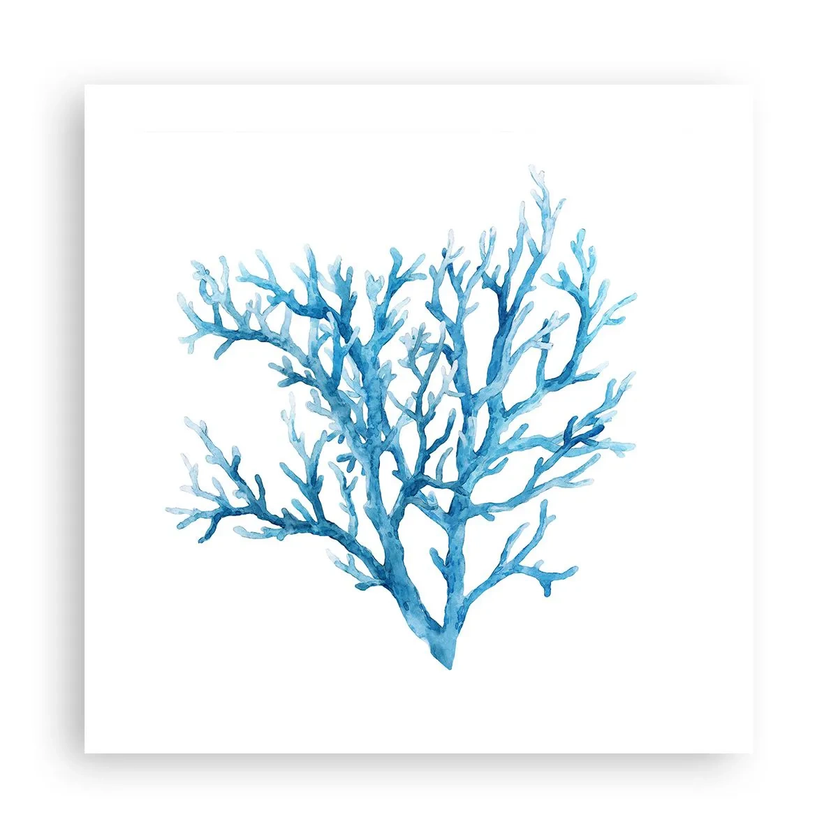 Affisch - Marin filigran - 50x50 cm