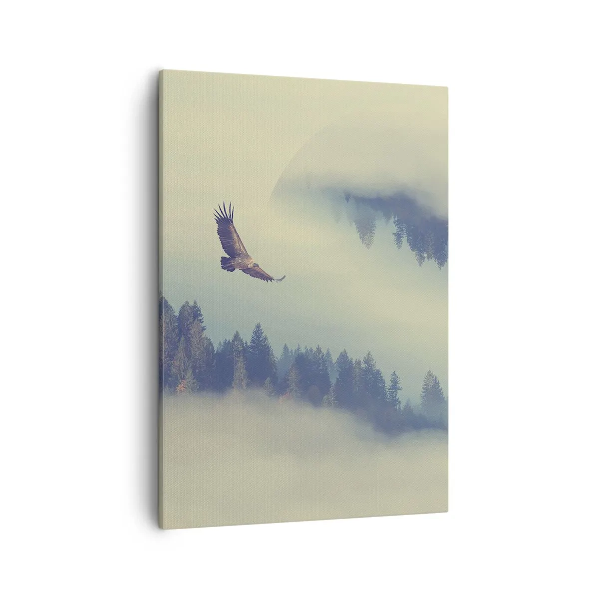 Canvastavla - Bild på duk - Örnens skugga - 50x70 cm