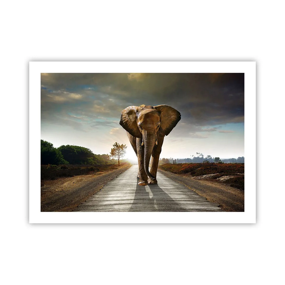 Affisch - Inte alls i en porslinsbutik - 70x50 cm