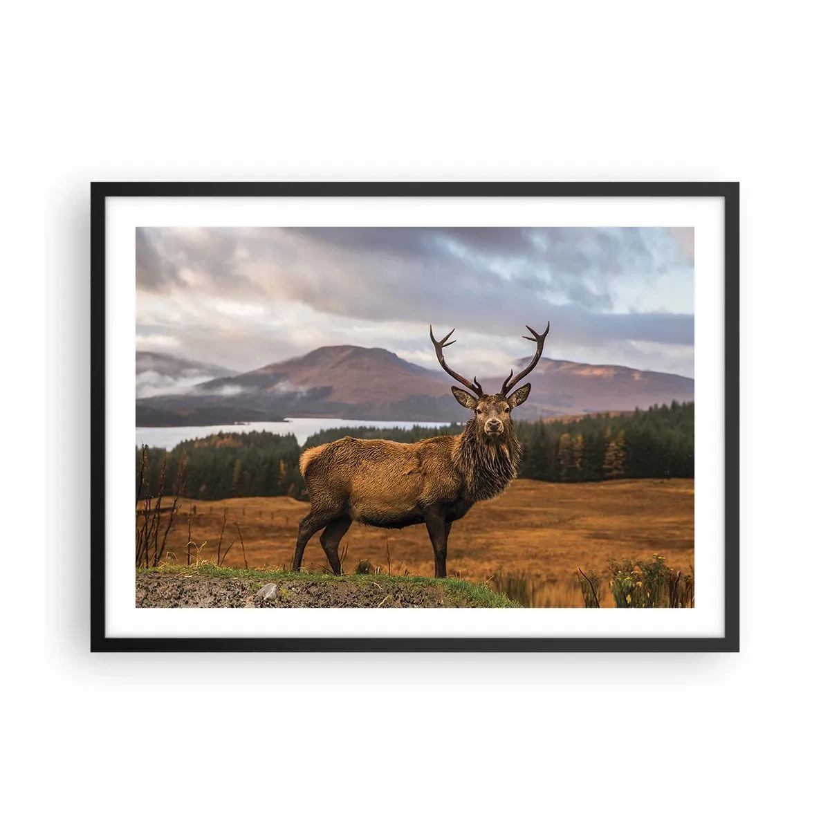 Affisch i svart ram - Naturens majestät - 70x50 cm