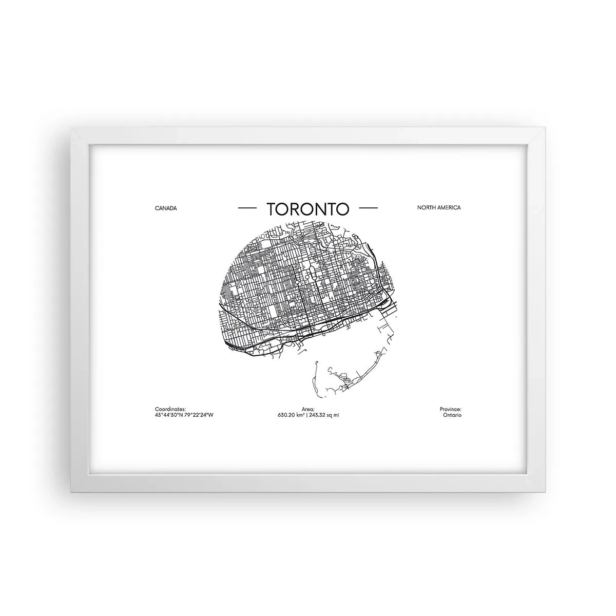 Affisch i vit ram - Torontos anatomi - 40x30 cm