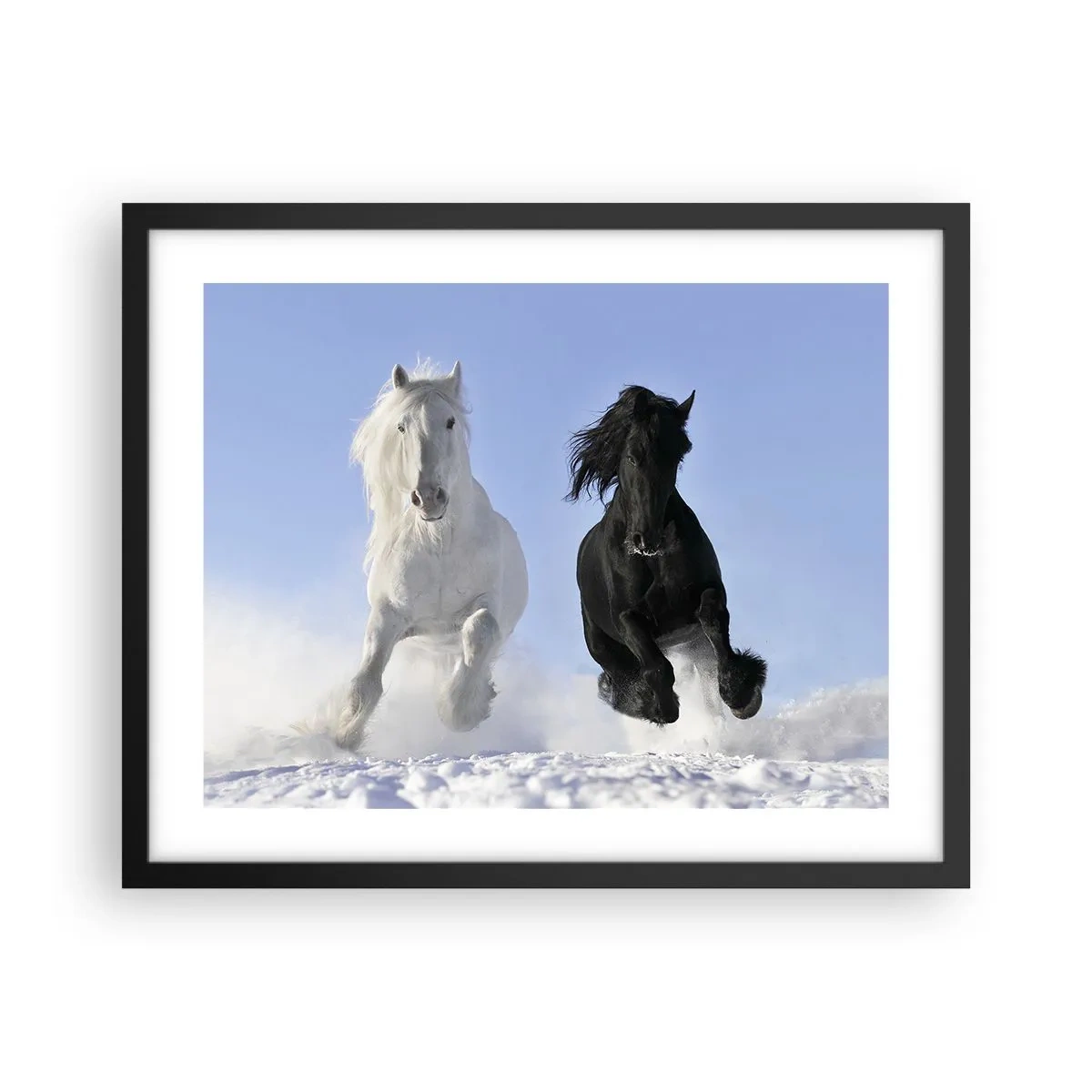 Affisch i svart ram - Svart-vit galopp - 50x40 cm
