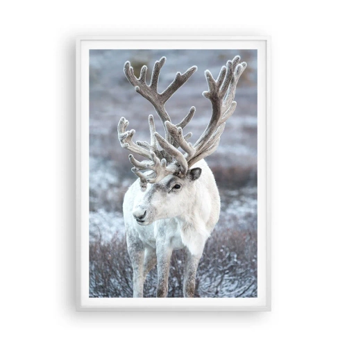 Affisch i vit ram - Porträtt i solsken - 70x100 cm