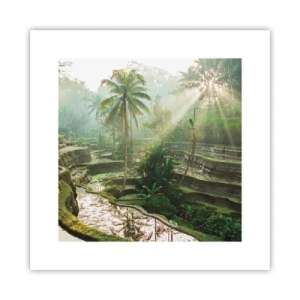 Affisch - Växa upp i solsken - 30x30 cm