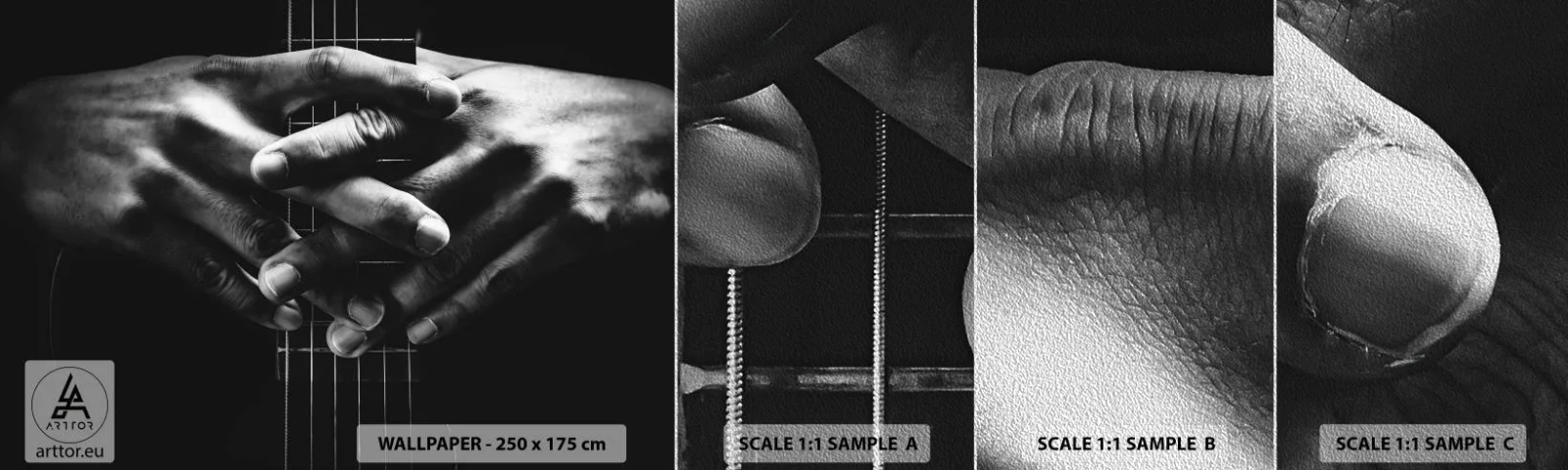 Provbit av fototapet Premium Sand - Artistens bön - Gitarrist, Musiker, Gitarr - 100x30 cm