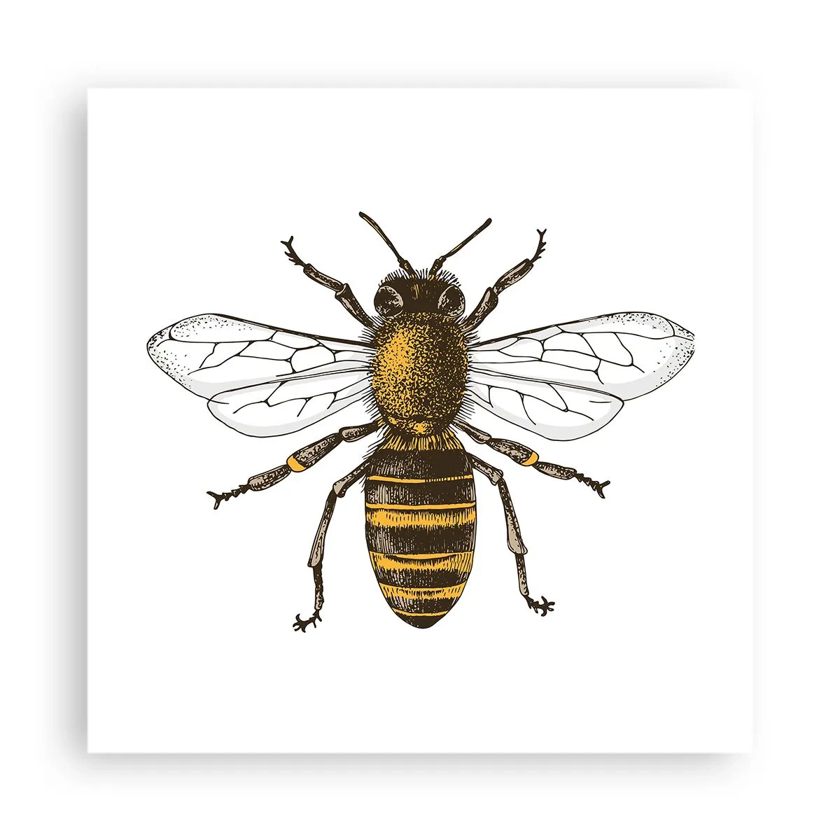 Affisch - Vackert och bra - 40x40 cm