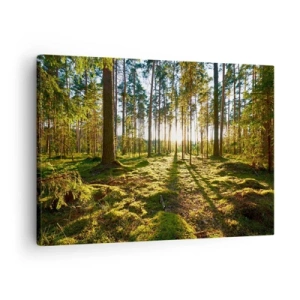 Canvastavla - Bild på duk - Grön skog upplyst av solljus på mossan - 70x50cm - ...Bortom sjunde skogen - Modern väggdekoration för vardagsrum och sovrum ARTTOR