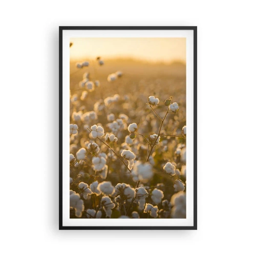 Affisch i svart ram - Fluffigt fält - 61x91 cm