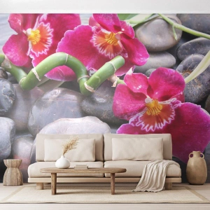 Fototapet Premium Canvas - Kyla och glöd - Blommor, Stenar, Orkide - 250x175 cm