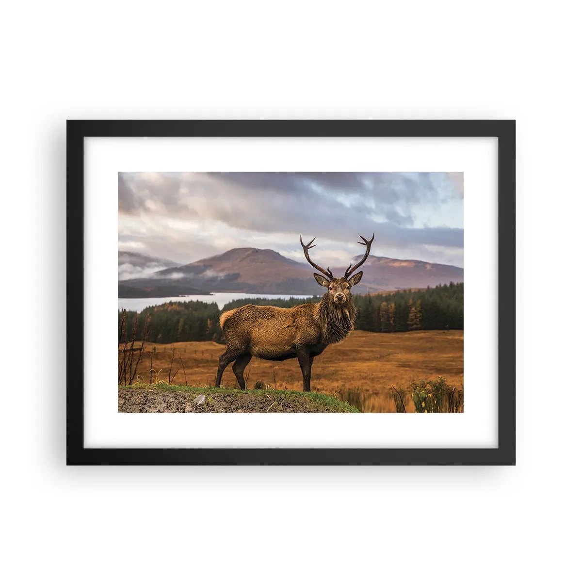Affisch i svart ram - Naturens majestät - 40x30 cm