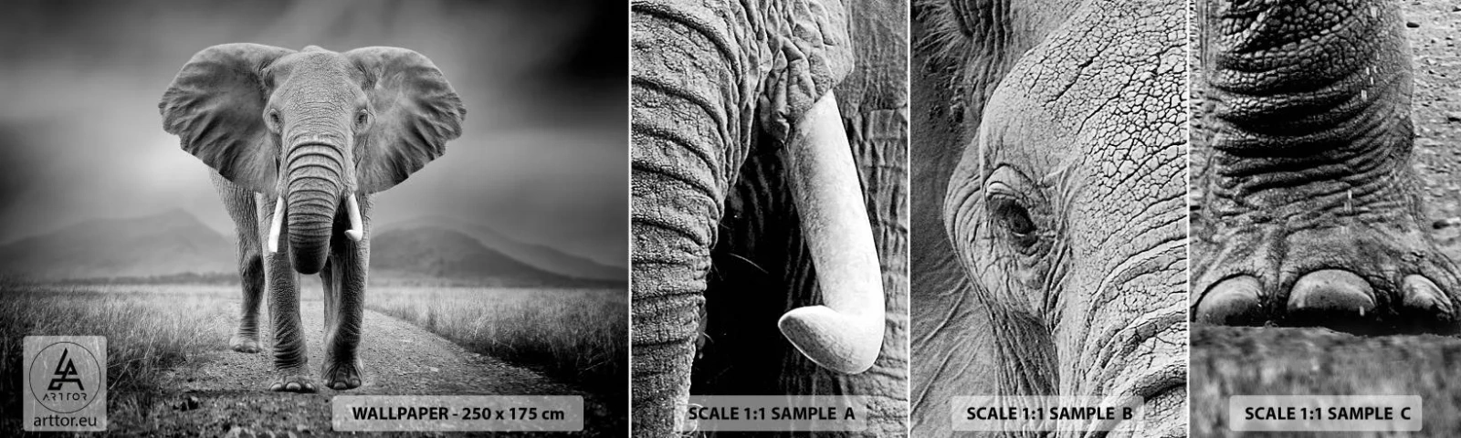 Provbit av självhäftande fototapet Deluxe Sticker - Värden hälsar välkommen - Elefant, Djur, Landskap - 100x30 cm