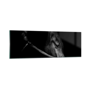 Glastavla - Bild på glas - Svart prins - 90x30 cm