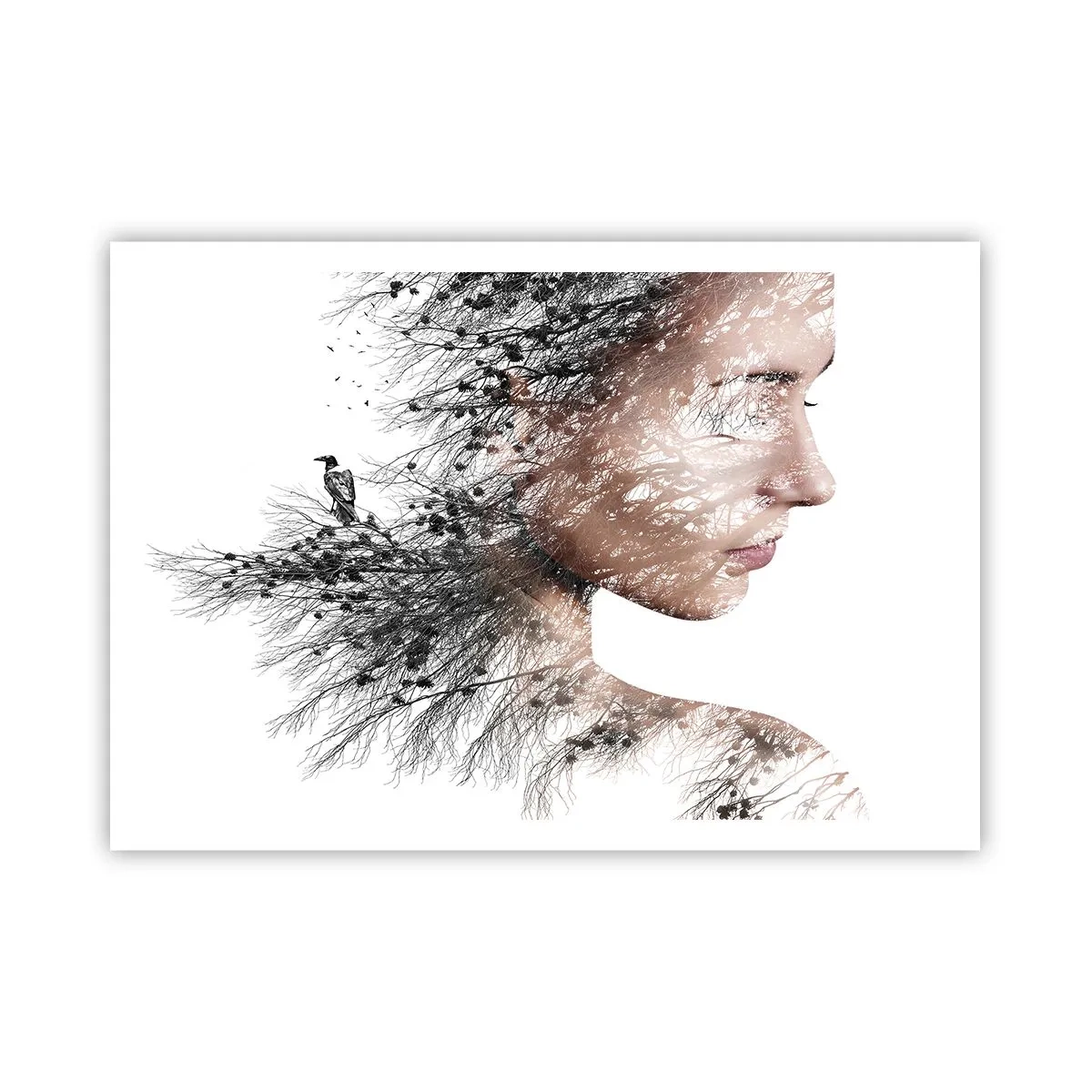Affisch - Skogens ande - 100x70 cm