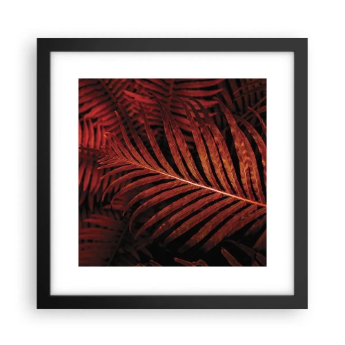 Affisch i svart ram - Livets glöd - 30x30 cm