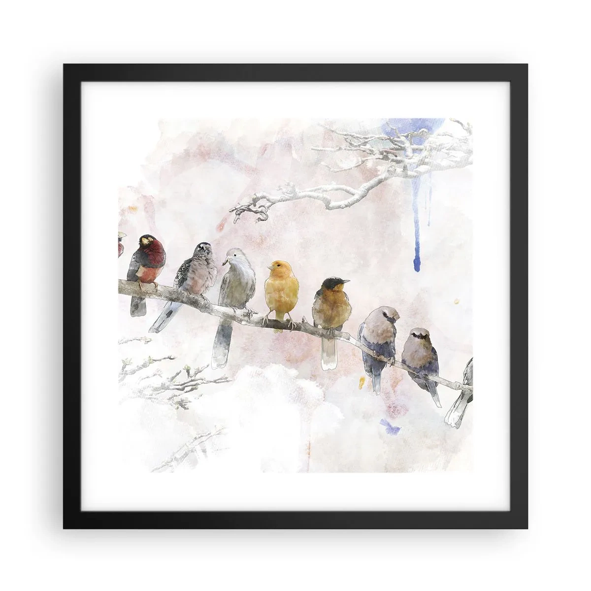 Affisch i svart ram - Bevingat möte - 40x40 cm