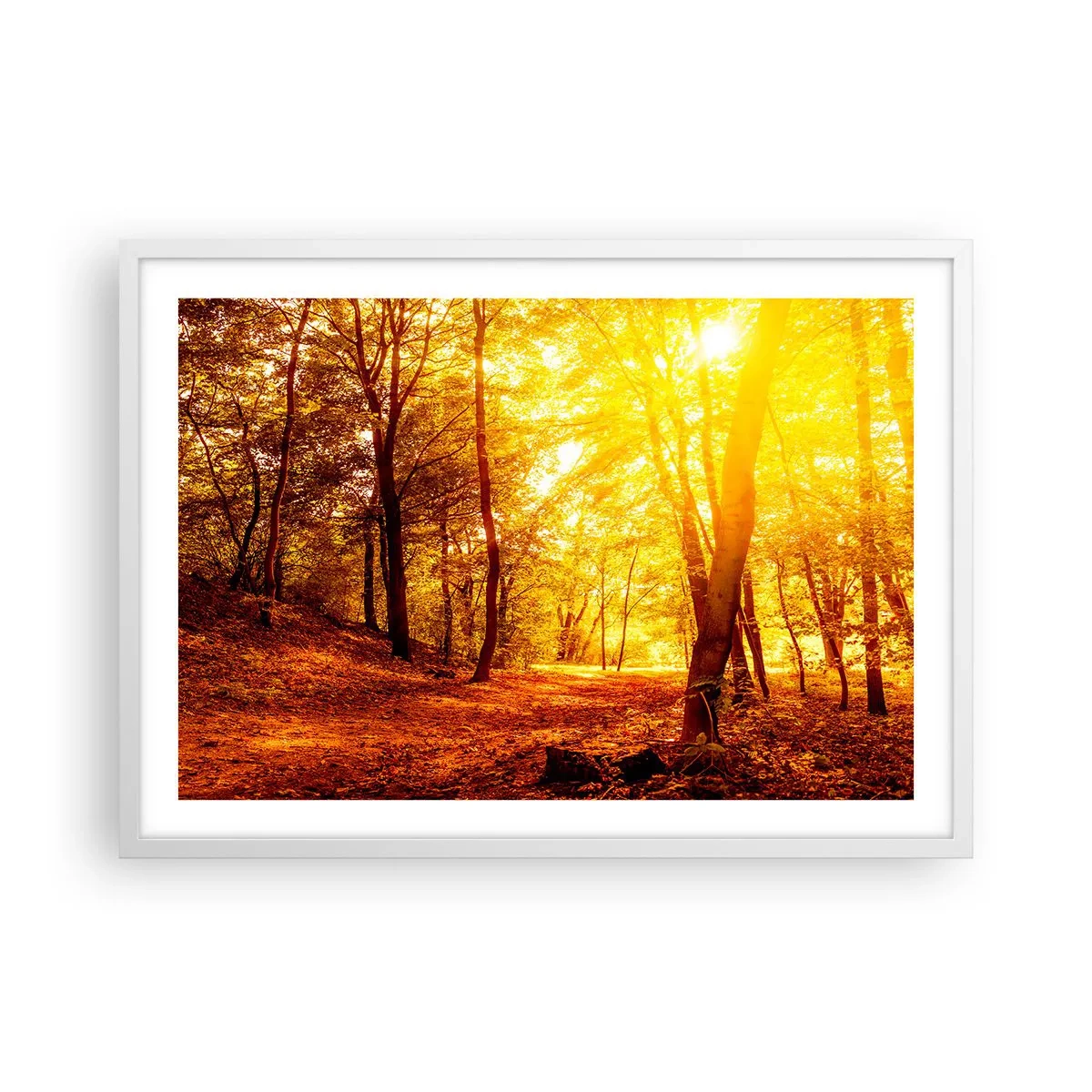 Affisch i vit ram - Mot guldgläntan - 70x50 cm