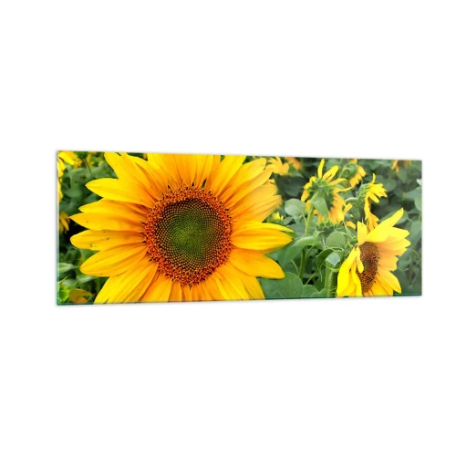 Glastavla - Bild på glas - Hundratals brinnande solar - 140x50 cm