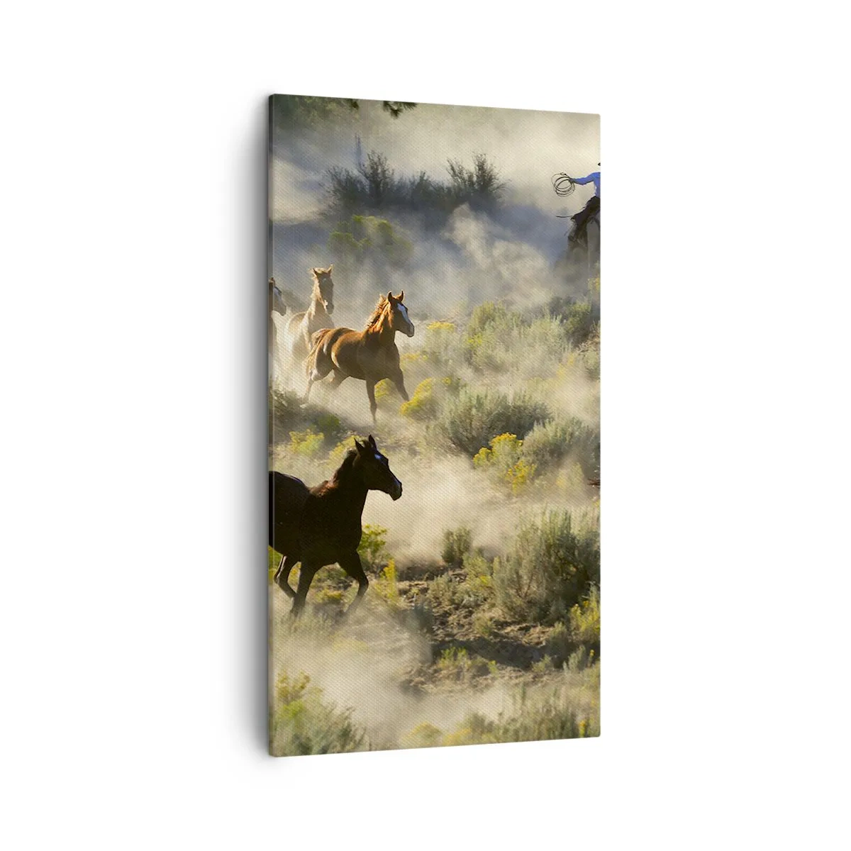 Canvastavla - Bild på duk - Tävlande - frihet eller manlig styrka? - 45x80 cm