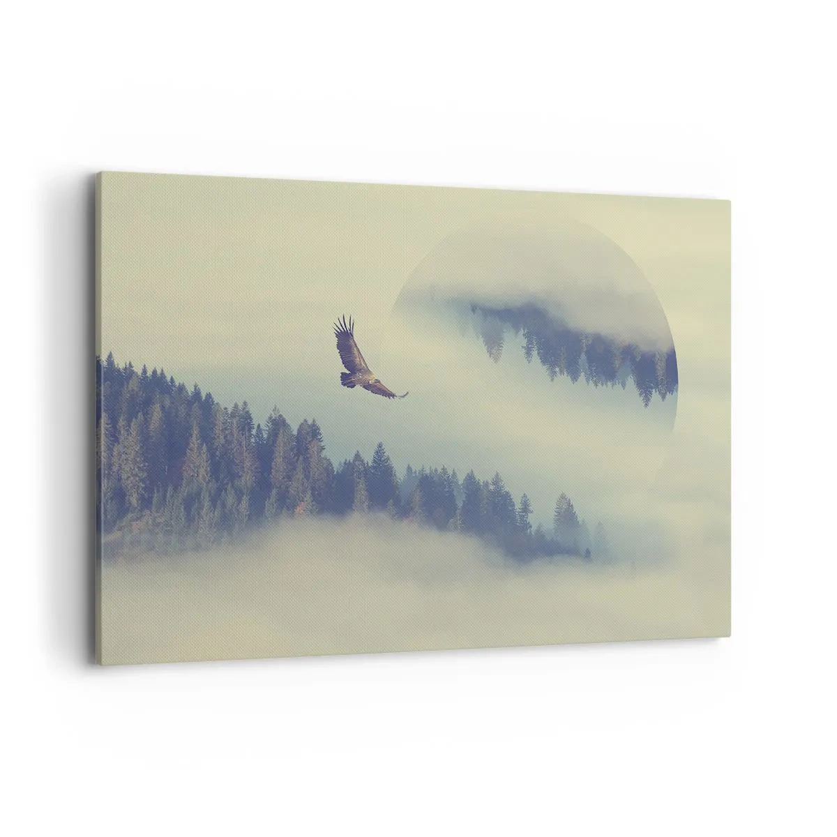 Canvastavla - Bild på duk - Örnens skugga - 120x80 cm