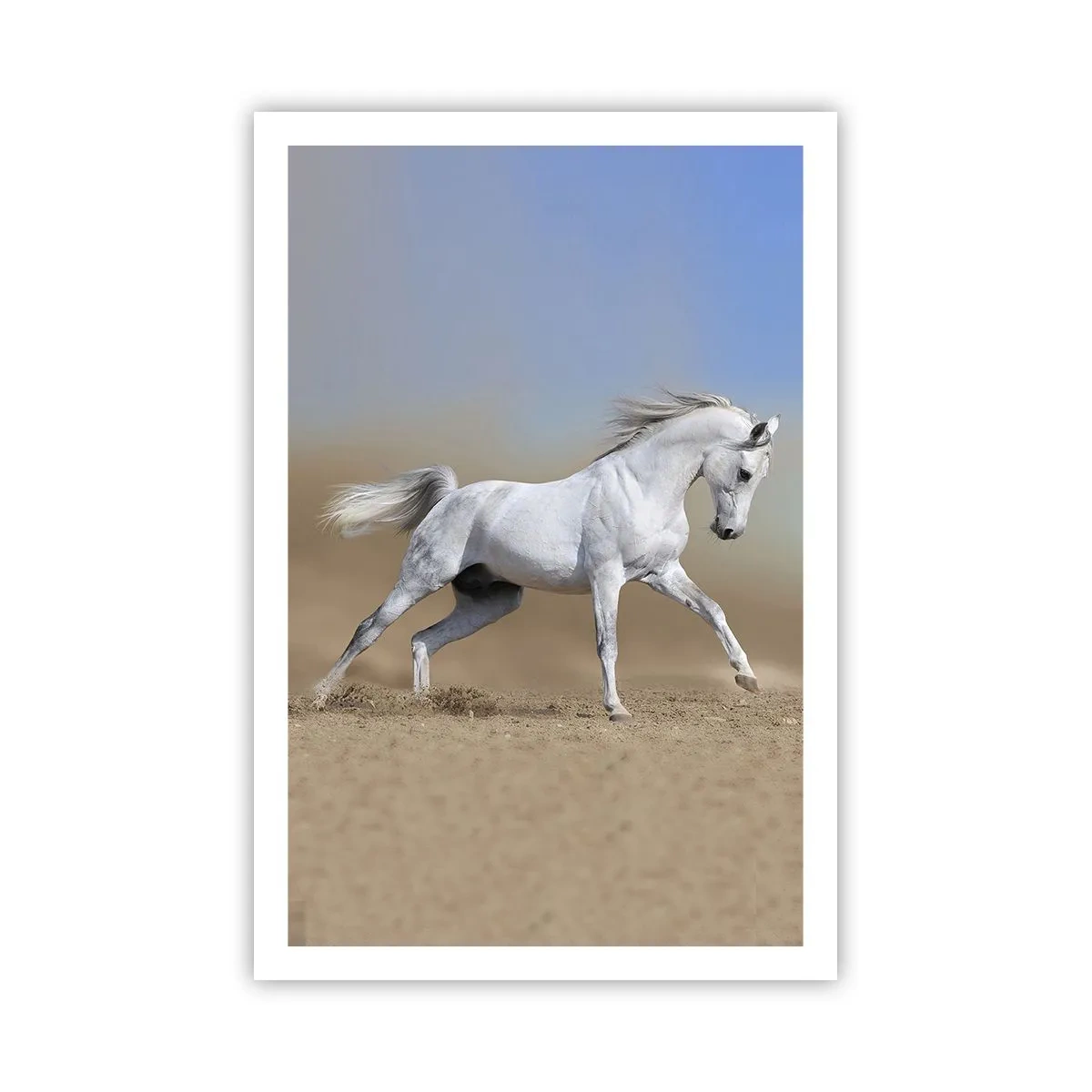 Affisch - Den vackraste arabiska sagan - 61x91 cm